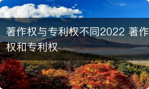 著作权与专利权不同2022 著作权和专利权