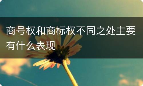 商号权和商标权不同之处主要有什么表现