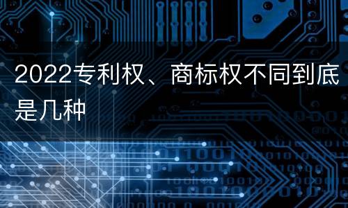2022专利权、商标权不同到底是几种