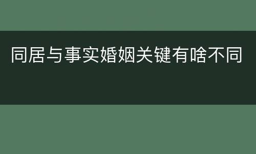 同居与事实婚姻关键有啥不同