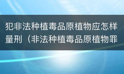 犯非法种植毒品原植物应怎样量刑（非法种植毒品原植物罪情节严重的三种情形）