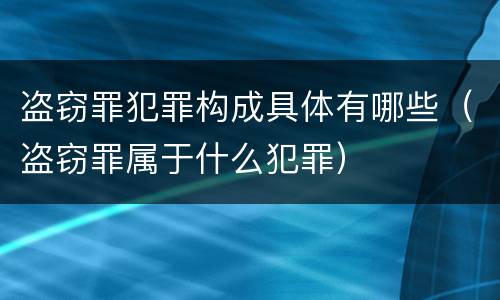 盗窃罪犯罪构成具体有哪些（盗窃罪属于什么犯罪）