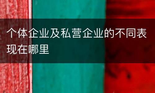 个体企业及私营企业的不同表现在哪里