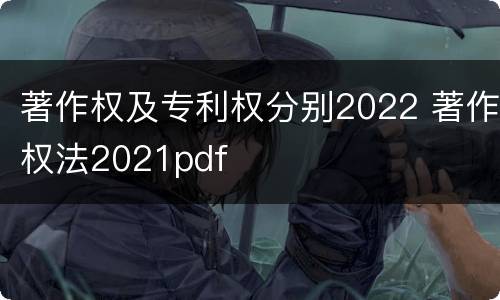 著作权及专利权分别2022 著作权法2021pdf