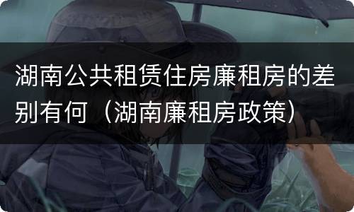 湖南公共租赁住房廉租房的差别有何（湖南廉租房政策）