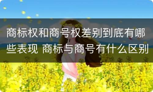 商标权和商号权差别到底有哪些表现 商标与商号有什么区别