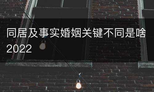 同居及事实婚姻关键不同是啥2022