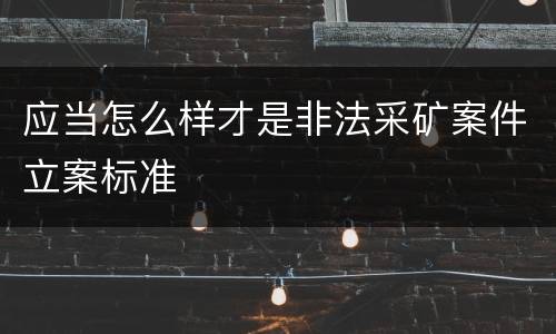 应当怎么样才是非法采矿案件立案标准