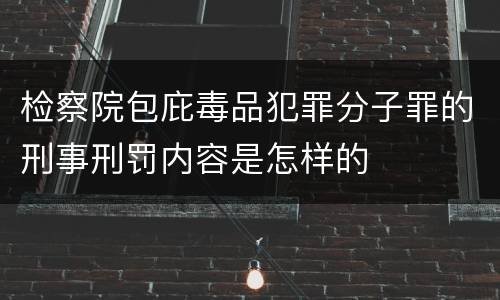 检察院包庇毒品犯罪分子罪的刑事刑罚内容是怎样的