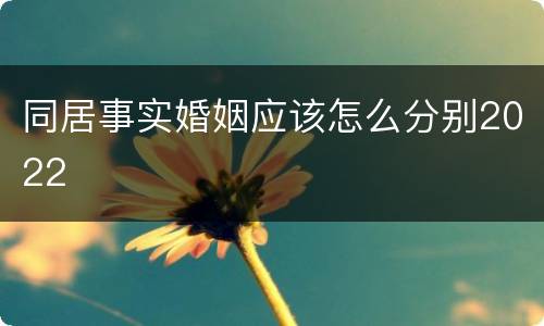 同居事实婚姻应该怎么分别2022