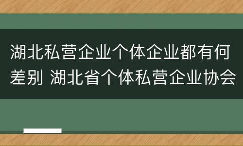 湖北私营企业个体企业都有何差别 湖北省个体私营企业协会