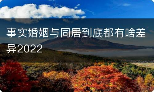 事实婚姻与同居到底都有啥差异2022