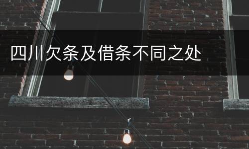 四川欠条及借条不同之处