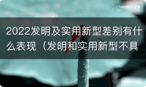 2022发明及实用新型差别有什么表现（发明和实用新型不具有什么特性）