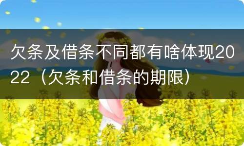 欠条及借条不同都有啥体现2022（欠条和借条的期限）