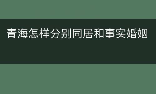 青海怎样分别同居和事实婚姻