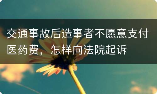 交通事故后造事者不愿意支付医药费，怎样向法院起诉