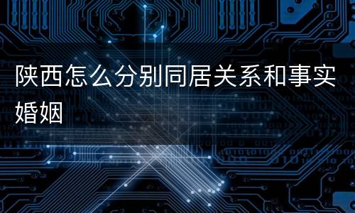 陕西怎么分别同居关系和事实婚姻