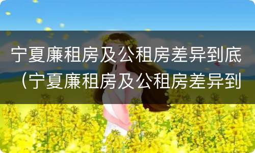 宁夏廉租房及公租房差异到底（宁夏廉租房及公租房差异到底有多大）