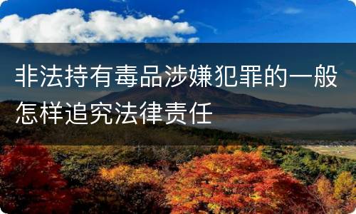 非法持有毒品涉嫌犯罪的一般怎样追究法律责任