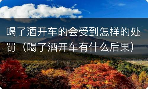 喝了酒开车的会受到怎样的处罚（喝了酒开车有什么后果）
