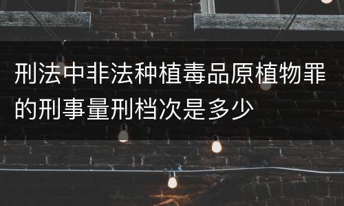 刑法中非法种植毒品原植物罪的刑事量刑档次是多少
