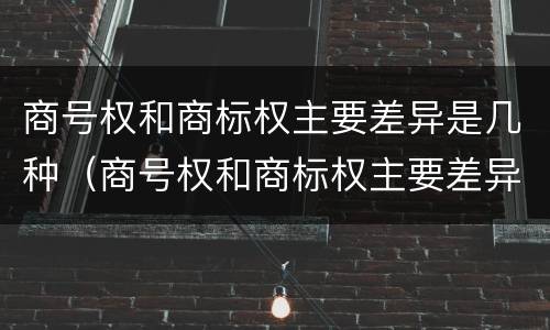 商号权和商标权主要差异是几种（商号权和商标权主要差异是几种类型）
