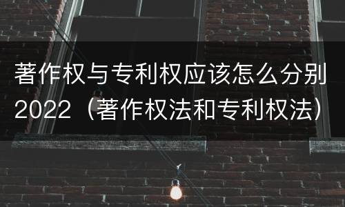著作权与专利权应该怎么分别2022（著作权法和专利权法）