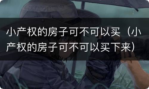 小产权的房子可不可以买（小产权的房子可不可以买下来）