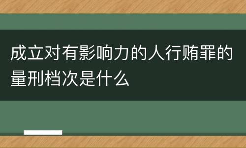 成立对有影响力的人行贿罪的量刑档次是什么