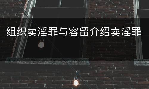 组织卖淫罪与容留介绍卖淫罪