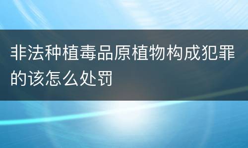 非法种植毒品原植物构成犯罪的该怎么处罚