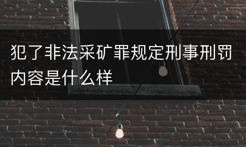 犯了非法采矿罪规定刑事刑罚内容是什么样