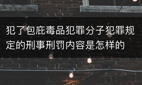 犯了包庇毒品犯罪分子犯罪规定的刑事刑罚内容是怎样的