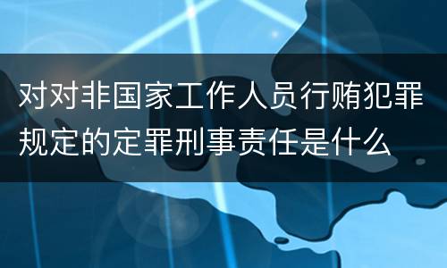 对对非国家工作人员行贿犯罪规定的定罪刑事责任是什么