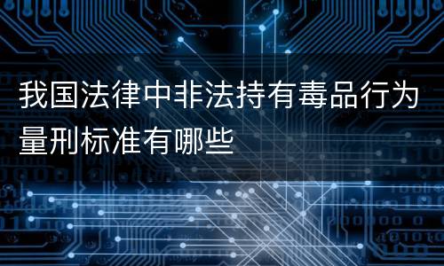 我国法律中非法持有毒品行为量刑标准有哪些