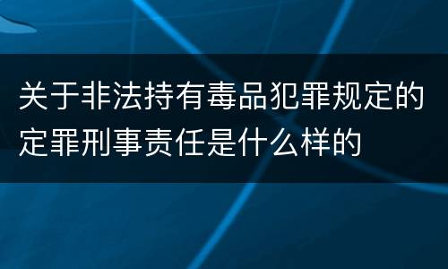 关于非法持有毒品犯罪规定的定罪刑事责任是什么样的