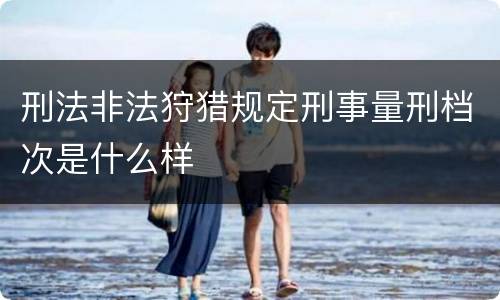 刑法非法狩猎规定刑事量刑档次是什么样