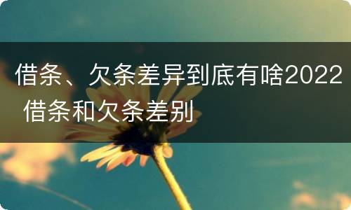 借条、欠条差异到底有啥2022 借条和欠条差别