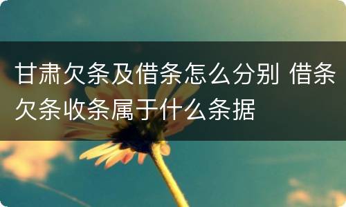 甘肃欠条及借条怎么分别 借条欠条收条属于什么条据