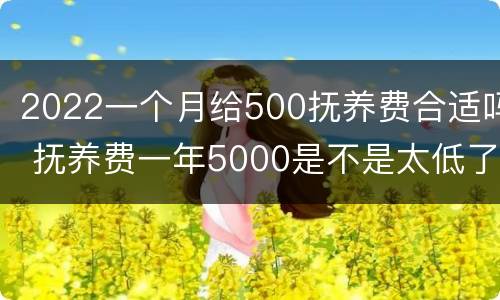 2022一个月给500抚养费合适吗 抚养费一年5000是不是太低了