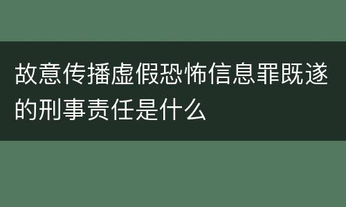 故意传播虚假恐怖信息罪既遂的刑事责任是什么