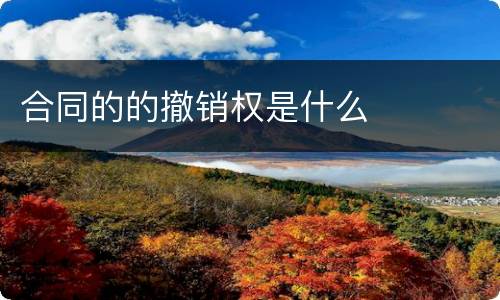 合同的的撤销权是什么