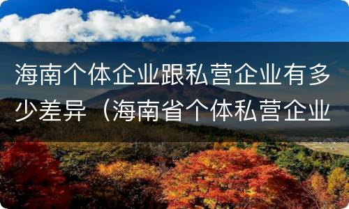 海南个体企业跟私营企业有多少差异（海南省个体私营企业协会）
