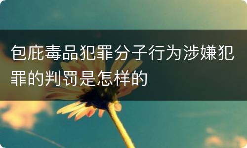 包庇毒品犯罪分子行为涉嫌犯罪的判罚是怎样的