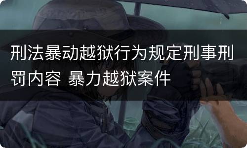 刑法暴动越狱行为规定刑事刑罚内容 暴力越狱案件