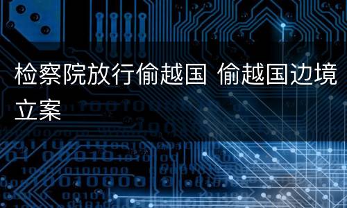 检察院放行偷越国 偷越国边境立案