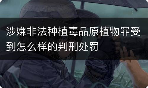 涉嫌非法种植毒品原植物罪受到怎么样的判刑处罚
