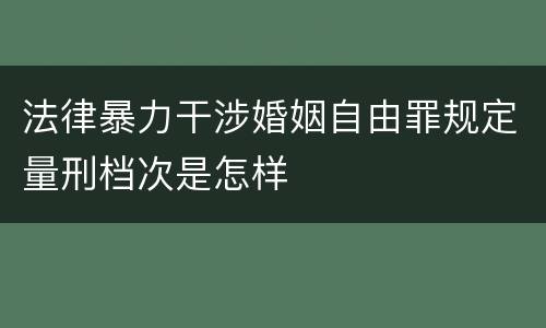 法律暴力干涉婚姻自由罪规定量刑档次是怎样