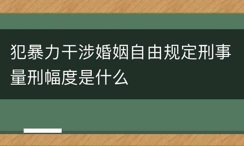 犯暴力干涉婚姻自由规定刑事量刑幅度是什么